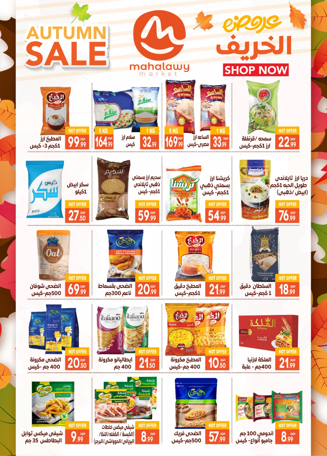 el-mahallawy-sons offers from 23oct to 2oct 2025 عروض اولاد المحلاوى من 23 أكتوبر حتى 2 أكتوبر 2025 صفحة رقم 15